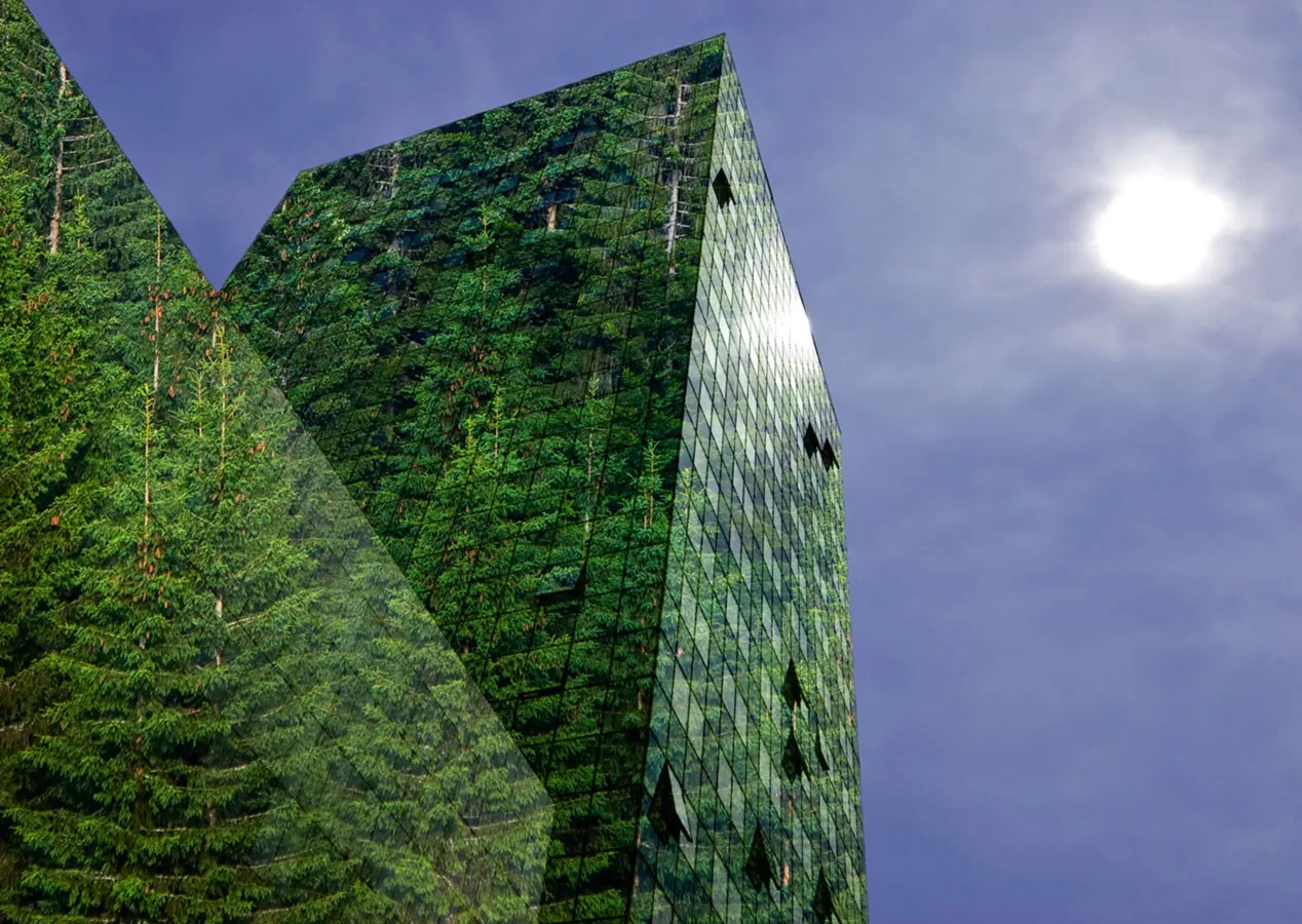 20 eco friendly sustainable building materials for greener construction